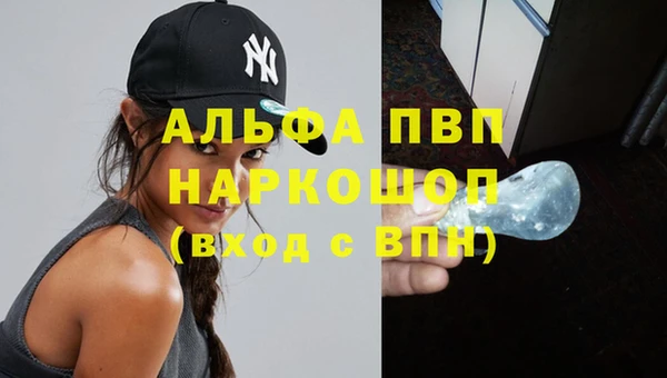 прущие грибы Снежногорск