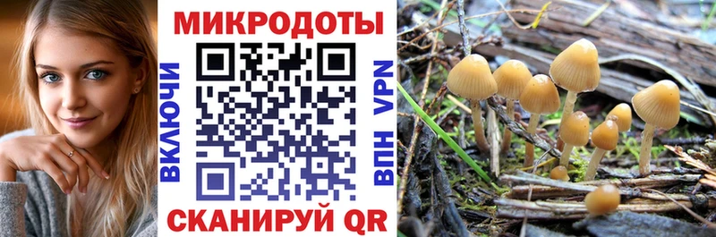 как найти закладки  Бутурлиновка  Псилоцибиновые грибы прущие грибы 