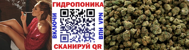 наркошоп  кракен как войти  Бошки Шишки сатива  даркнет Telegram  Бутурлиновка 
